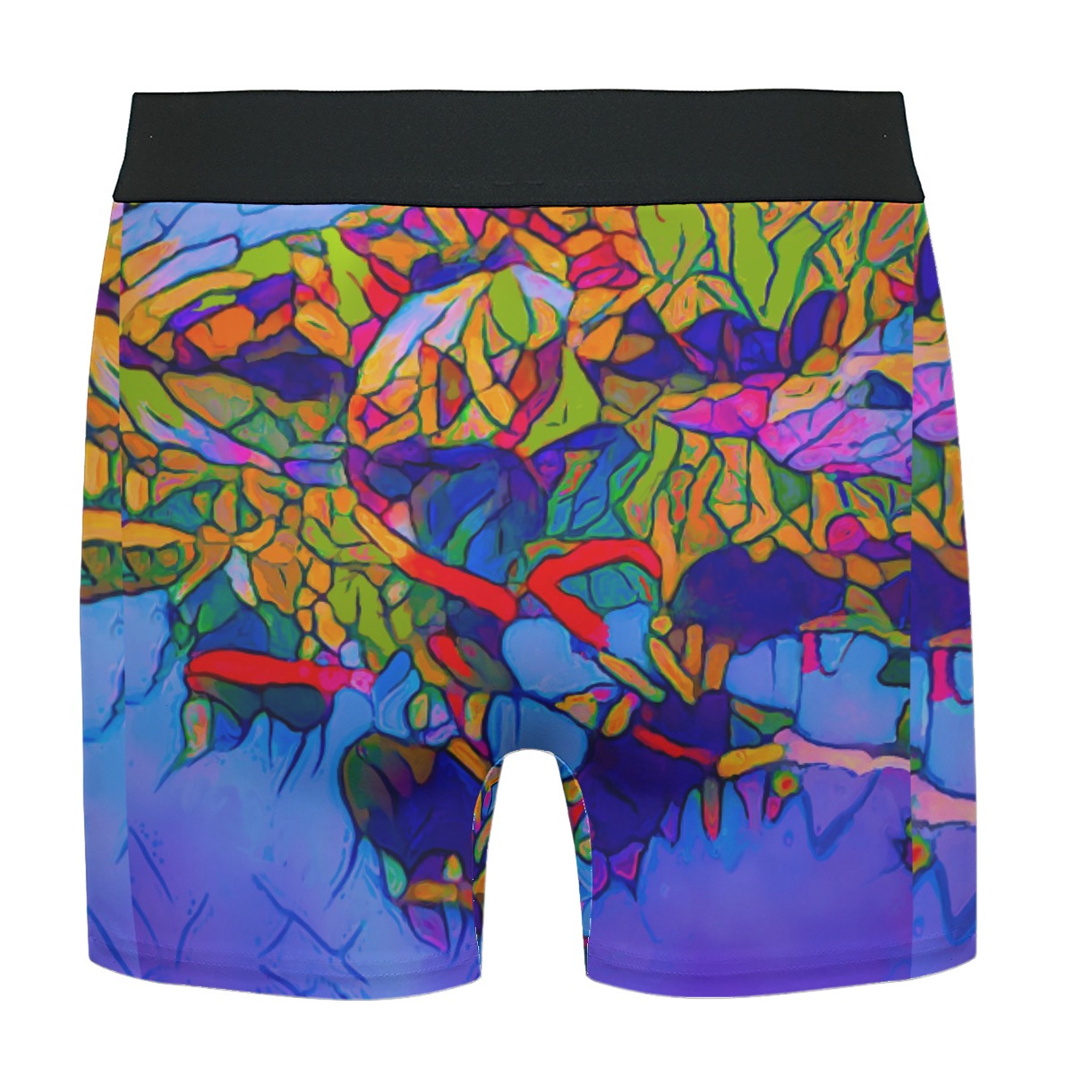 “Cerulean Spectrum” Men's Stretch Boxer Briefs
