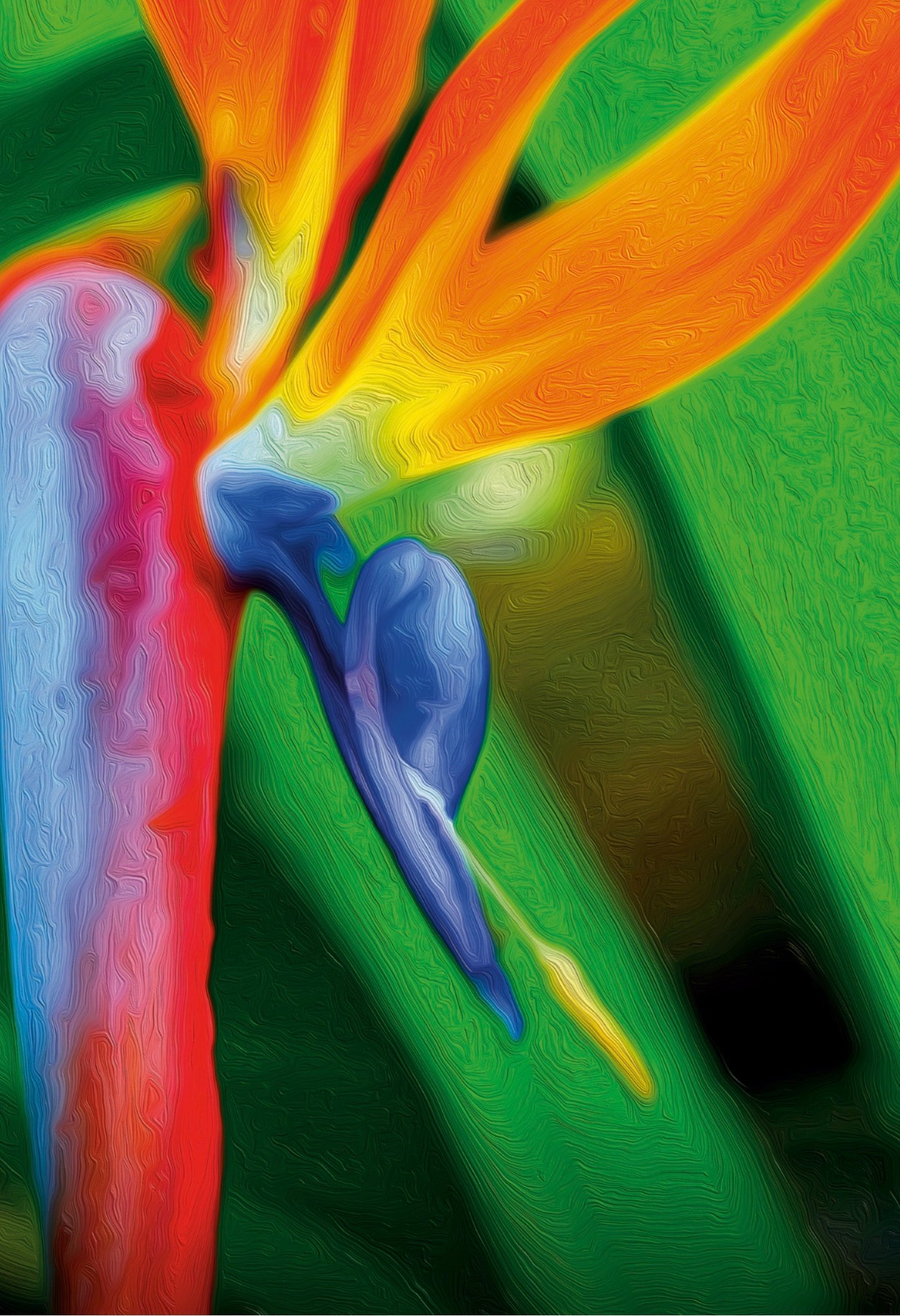 🟥 Feature Print: “Bird of Paradise”