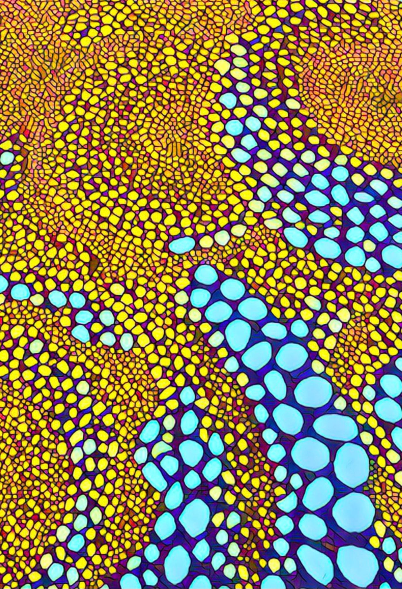 🟥 Feature Print: “Sunstone”