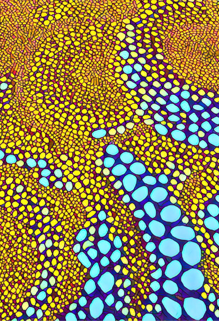 🟥 Feature Print: “Sunstone”