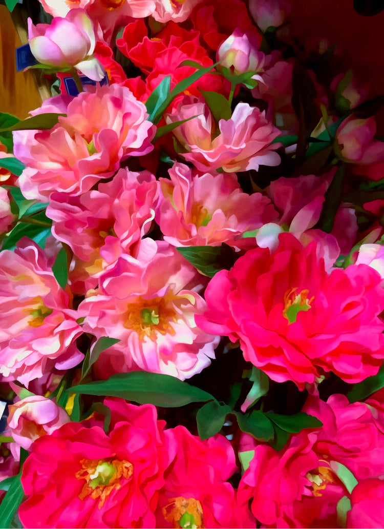 🟥 Feature Print: “Summer Blush”