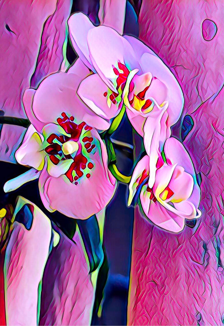 🟥 Feature Print: “Pink Orchid”