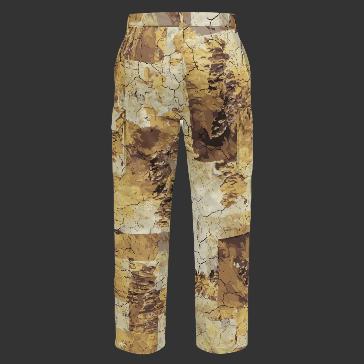 Print Men's Cargo Pants